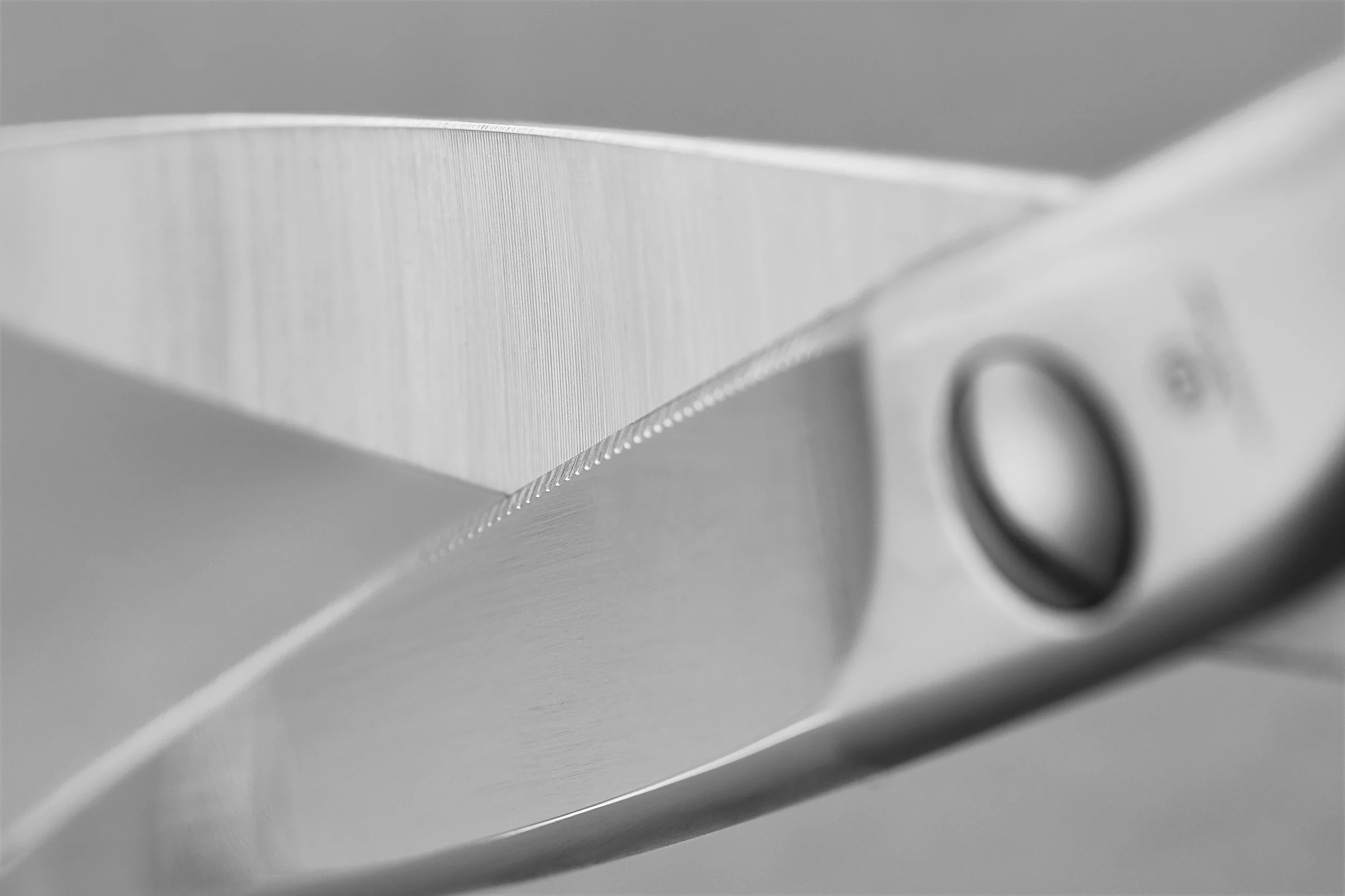 Kitchen Shears 20 cm | 8 inch - Image 4