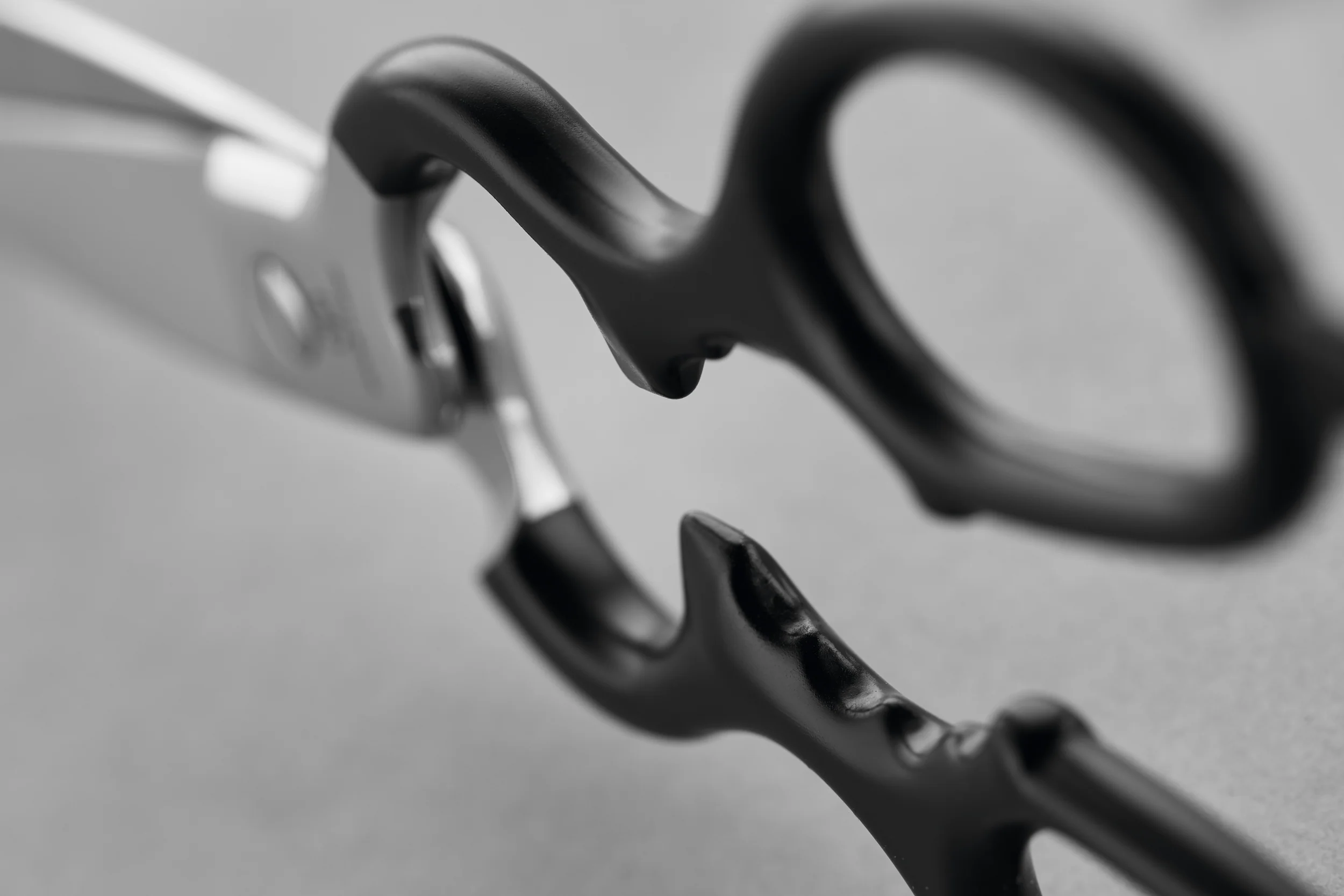 Stainless Kitchen Shears | Black - Image 3
