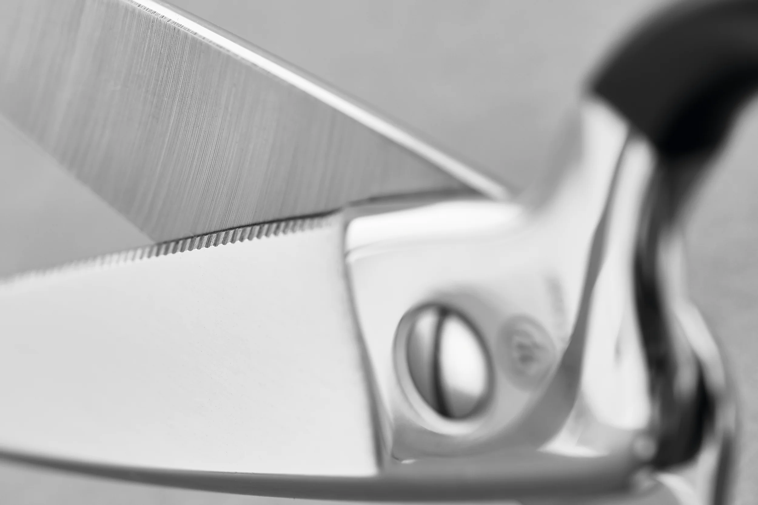 Stainless Kitchen Shears | Black - Image 4